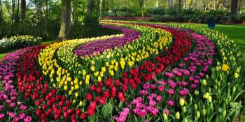 Virtueel naar Keukenhof en natuurgebied