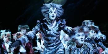 Cats - RonReizen