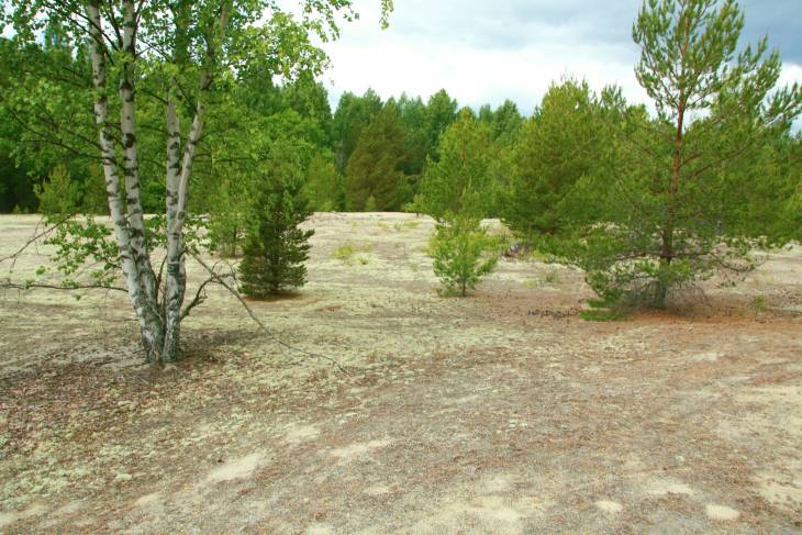 Midden-zweden: Sandslan