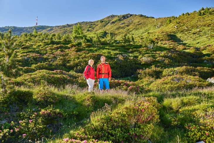 Oostenrijk Innsbruck RonReizen Patscherkofel