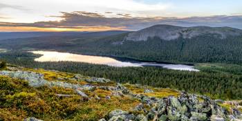 Finland