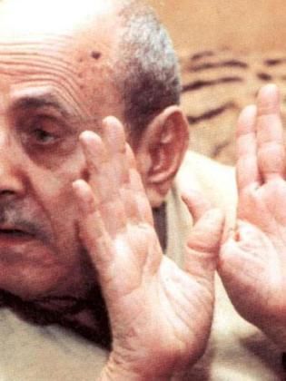 Ahmed Shafek Kamel