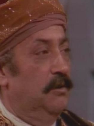 عوني المصري