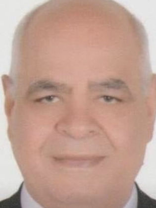 Hamdy Al Araby
