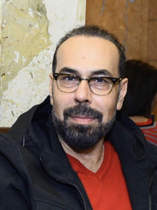Hesham Elshafei
