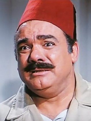 محمد رضا