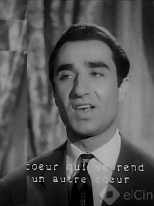محمد ضياء الدين