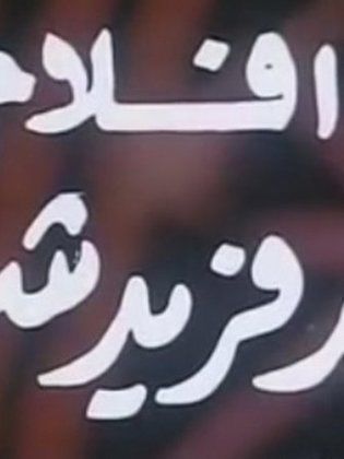 Nahed Farid Shawki Films