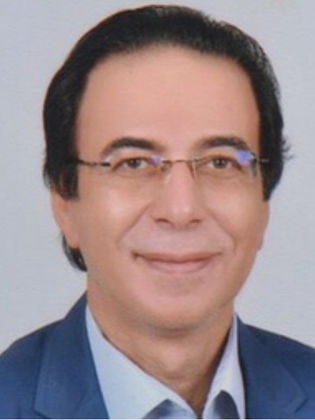 طارق حسن