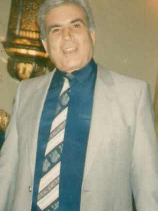 Wajeh Abdel Ghani