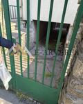 Ingatlan árverés 9400 Sopron, Kis János utca 5 képe