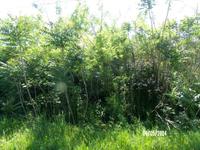 Ingatlan árverés 5137 Jászkisér, Dobó utca 28 képe