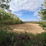 Ingatlan árverés 9084 Győrság, 503 hrsz 0 képe