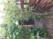 Ingatlan árverés 1201 Budapest, Ady E. utca 215. képe