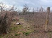 Ingatlan árverés 4496 Szabolcsveresmart, Jókai út 7 képe