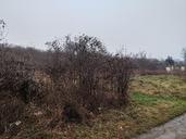 Ingatlan árverés 2175 Kálló, Deák Ferenc utca 5 képe