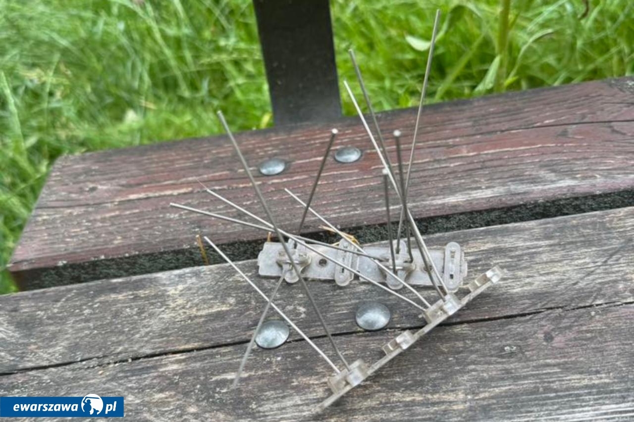 Kolce na ptaki ukryte w trawie na Saskiej Kępie