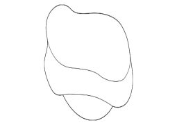 Lexus LX470	 - Radiator qapağı