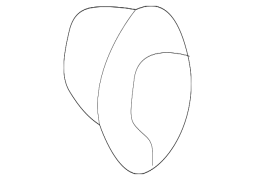 Lexus OE 9038908124 - Sükan Sütununun Korpusunun Dəstəyi