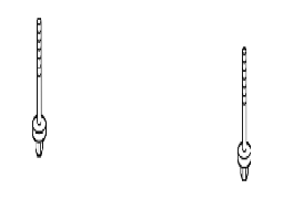 Lexus OE 9008011470 - Asma Çarx Bolt