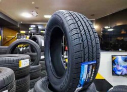 4 fəsil təkəri - 225/60/R17