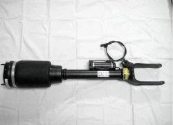 Amortizator - Mercedes-Benz  M-Class