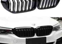 Radiator barmaqlığı - BMW