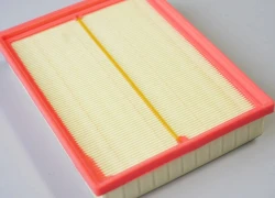 Hava filtri - Kia	Carens