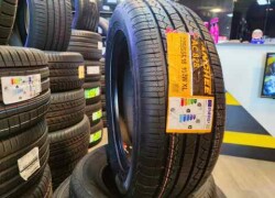 4 fəsil təkəri - 225/55/R18