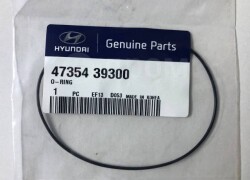 O Ring - Hyundai Sonata