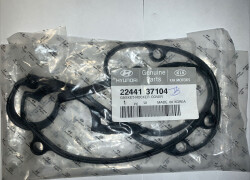 Mühərrik klapan qapağı contası  - Hyundai Santa Fe