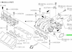 Nissan   Maxima  - Yanacaq vurma tənzimləyicisi gövdəsinin montaj  Araqatı