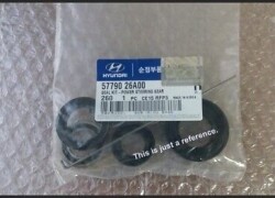 Hyundai  Santa Fe  -   Elektrik Sükan Ötürücü Mühərrik Dəsti