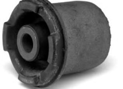 Çaşkanin Ftulkasi - Opel  Vectra