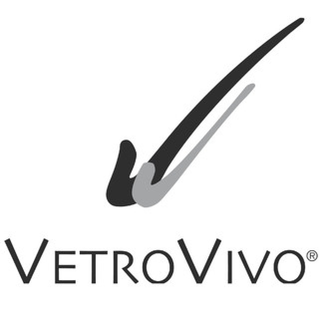 Logo VetroVivo