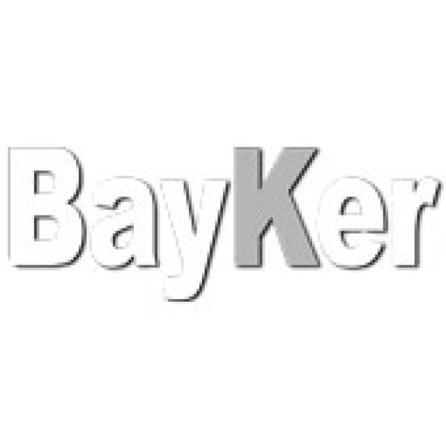 Logo Bayker