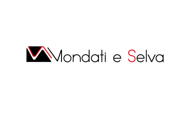 Mondati e Selva s.r.l. logo