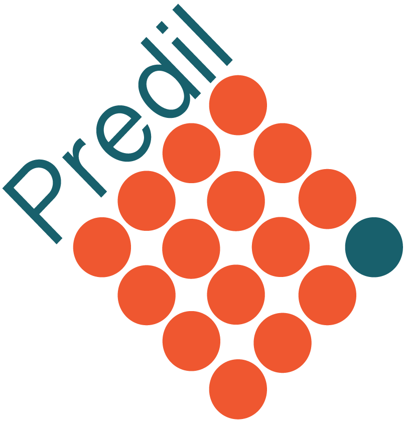 Predil Srl logo