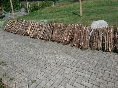 Reisigwellen