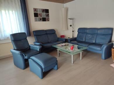 Ledergarnitur 4 teilig taubenblau mit Echtrcken.