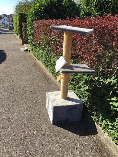 Kratzbaum zu verschenken, Selbstabholer