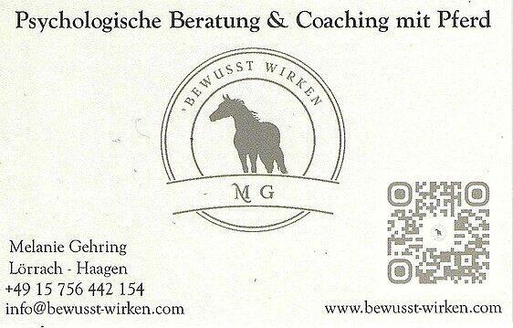 Stark mit Pferd