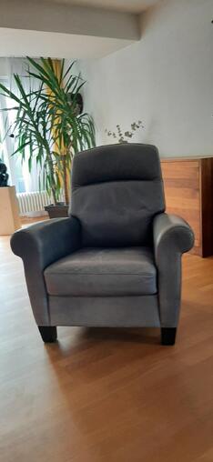 Sessel Leder deSede