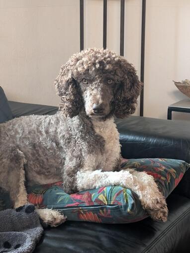 Unsere Lotti ist Mama geworden