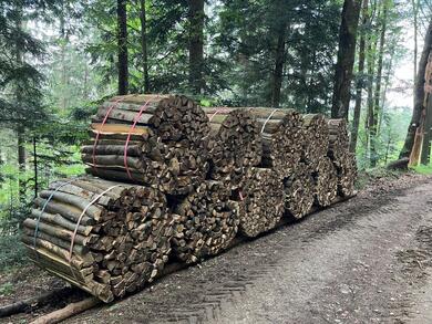 Brennholz/Kaminholz