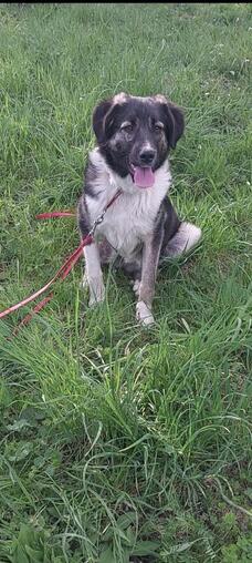 Florin sucht sein Platz
