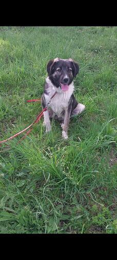 Florin sucht seinen Platz