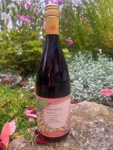 Bio-Sptburgunder Rotwein
