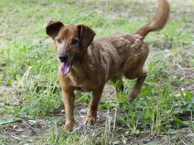 Miguel sucht seine Familie