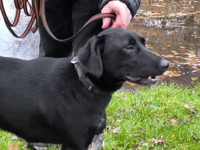 Penny muss ausziehen